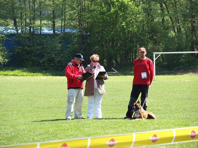 www.atibox.net * www.euroboxer.eu * www.boxergenealogia.eu